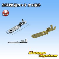 [Sumitomo Wiring Systems] 250-type reverse-lock non-waterproof male-terminal