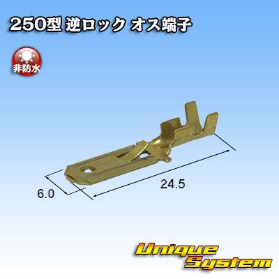 Photo2: [Sumitomo Wiring Systems] 250-type reverse-lock non-waterproof male-terminal