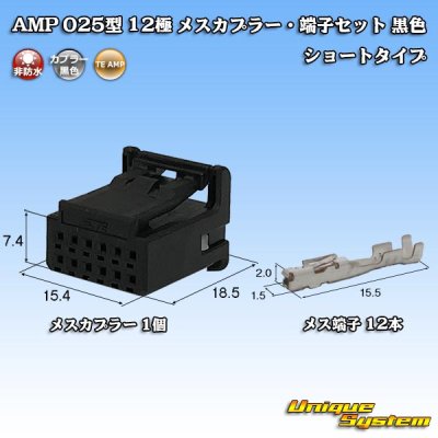 Photo1: [TE Connectivity] AMP 025-type I non-waterproof 12-pole female-coupler & terminal set (black) short-type