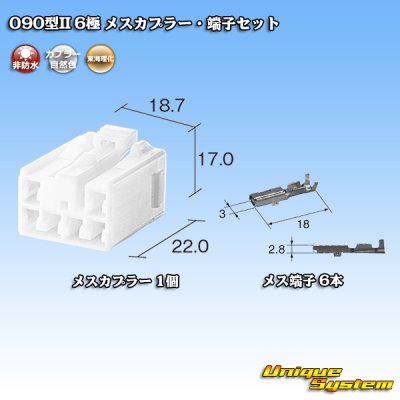 Photo1: [Tokai Rika] 090-type II non-waterproof 6-pole female-coupler & terminal set