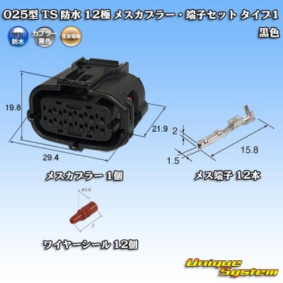 Photo1: [Sumitomo Wiring Systems] 025-type TS waterproof 12-pole female-coupler & terminal set type-1 (black)