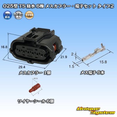 Photo1: [Sumitomo Wiring Systems] 025-type TS waterproof 6-pole female-coupler & terminal set type-2