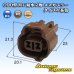 Photo1: [Sumitomo Wiring Systems] 090-type MT waterproof 2-pole female-coupler type-4 (brown) (1)