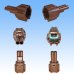 Photo2: [Sumitomo Wiring Systems] 090-type RS waterproof 2-pole coupler & terminal set (brown) with retainer (2)
