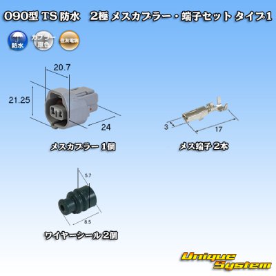 Photo1: [Sumitomo Wiring Systems] 090-type TS waterproof 2-pole female-coupler & terminal set type-1