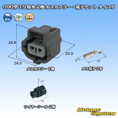 Photo1: [Sumitomo Wiring Systems] 090-type TS waterproof 2-pole female-coupler & terminal set type-6