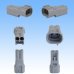 Photo2: [Sumitomo Wiring Systems] 090-type TS waterproof 2-pole male-coupler & terminal set type-1 (2)