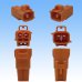 Photo3: [Sumitomo Wiring Systems] 090-type TS waterproof 2-pole male-coupler & terminal set type-2 (orange) (3)