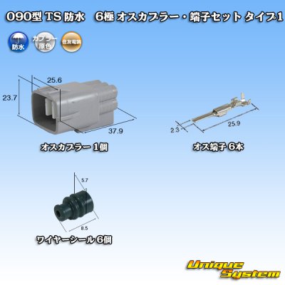 Photo1: [Sumitomo Wiring Systems] 090-type TS waterproof 6-pole male-coupler & terminal set type-1