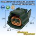 Photo1: [Sumitomo Wiring Systems] 090-type 62 series type-E waterproof 2-pole female-coupler with retainer (P5) type-3 (green) (1)