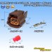Photo1: [Sumitomo Wiring Systems] 090-type 62 series type-E waterproof 2-pole female-coupler & terminal set with retainer (P5) type-1 (brown) (1)