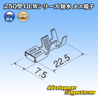 Photo3: [Furukawa Electric] 250-type QLW series waterproof female-terminal