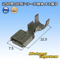 [Furukawa Electric] 250-type QLW series waterproof female-terminal