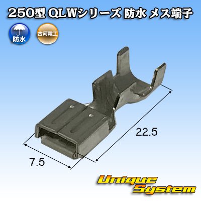 Photo1: [Furukawa Electric] 250-type QLW series waterproof female-terminal