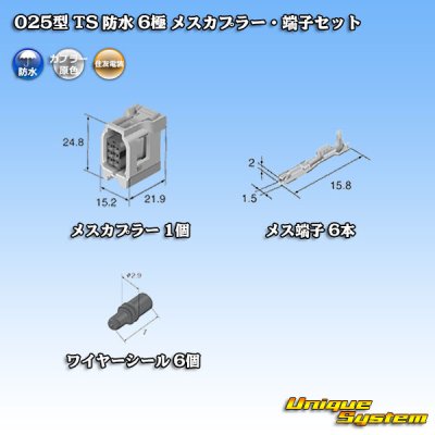 Photo5: [Sumitomo Wiring Systems] 025-type TS waterproof 6-pole female-coupler & terminal set type-1