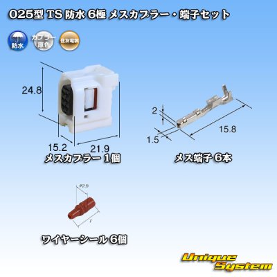 Photo1: [Sumitomo Wiring Systems] 025-type TS waterproof 6-pole female-coupler & terminal set type-1