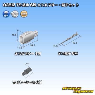 Photo5: [Sumitomo Wiring Systems] 025-type TS waterproof 6-pole male-coupler & terminal set type-1