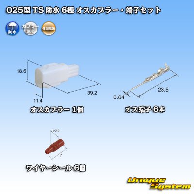 Photo1: [Sumitomo Wiring Systems] 025-type TS waterproof 6-pole male-coupler & terminal set type-1