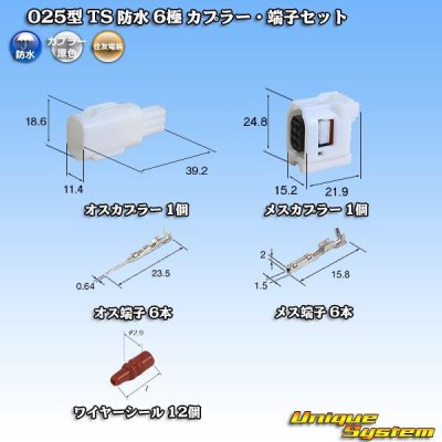 Photo1: [Sumitomo Wiring Systems] 025-type TS waterproof 6-pole coupler & terminal set type-1