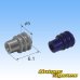 Photo4: [Sumitomo Wiring Systems] 090-type HW waterproof 6-pole male-coupler & terminal set with retainer (4)