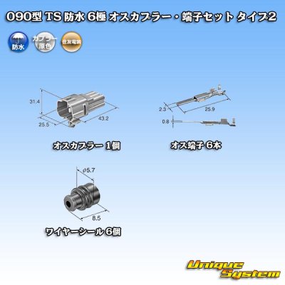 Photo5: [Sumitomo Wiring Systems] 090-type TS waterproof 6-pole male-coupler & terminal set type-2