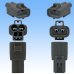 Photo3: [Sumitomo Wiring Systems] 187-type TS waterproof 2-pole male-coupler & terminal set