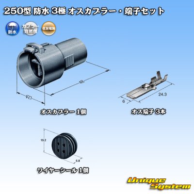 Photo1: [Sumitomo Wiring Systems] 250-type waterproof 3-pole male-coupler & terminal set
