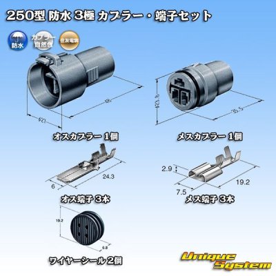 Photo1: [Sumitomo Wiring Systems] 250-type waterproof 3-pole coupler & terminal set