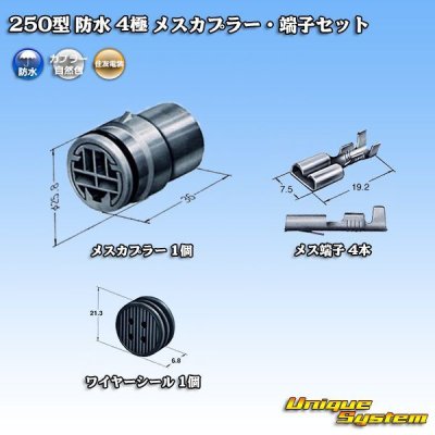 Photo1: [Sumitomo Wiring Systems] 250-type waterproof 4-pole female-coupler & terminal set