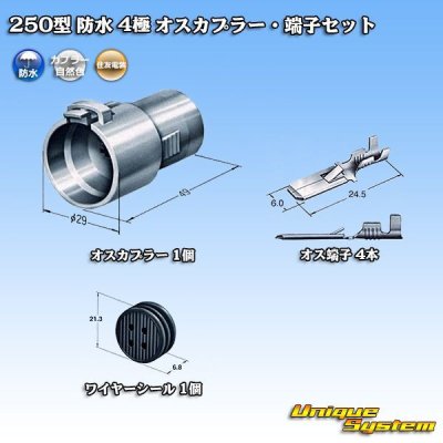 Photo1: [Sumitomo Wiring Systems] 250-type waterproof 4-pole male-coupler & terminal set