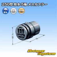 [Sumitomo Wiring Systems] 250-type waterproof 5-pole female-coupler