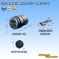 [Sumitomo Wiring Systems] 250-type waterproof 5-pole female-coupler & terminal set