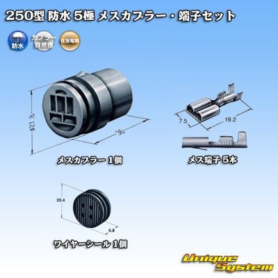 Photo1: [Sumitomo Wiring Systems] 250-type waterproof 5-pole female-coupler & terminal set