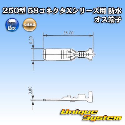 Photo3: [Yazaki Corporation] 250-type 58 connector X series waterproof male-terminal
