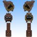 Photo3: [Yazaki Corporation] 060-type 62Z series waterproof 2-pole male-coupler with retainer type-2 (brown) (3)