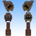 Photo3: [Yazaki Corporation] 060-type 62Z series waterproof 2-pole coupler with retainer & terminal set type-2 (brown)