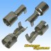 Photo2: [Yazaki Corporation] Tube fuse holder non-waterproof plating terminal (2)