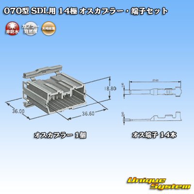 Photo5: [Yazaki Corporation] 070-type SDL non-waterproof 14-pole male-coupler & terminal set