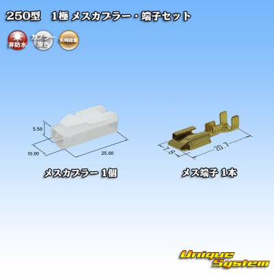 Photo1: [Yazaki Corporation] 250-type CN (A) non-waterproof 1-pole female-coupler & terminal set