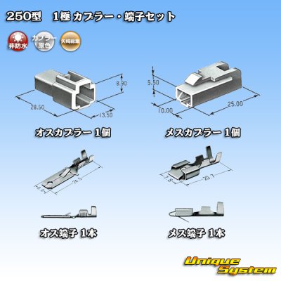 Photo5: [Yazaki Corporation] 250-type CN (A) non-waterproof 1-pole coupler & terminal set