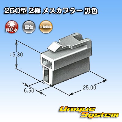 Photo3: [Yazaki Corporation] 250-type CN (A) non-waterproof 2-pole female-coupler (black)