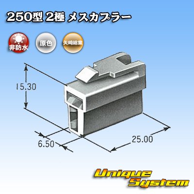 Photo3: [Yazaki Corporation] 250-type CN (A) non-waterproof 2-pole female-coupler