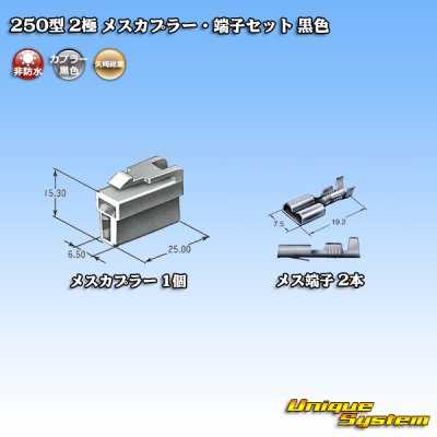 Photo4: [Yazaki Corporation] 250-type CN (A) non-waterproof 2-pole female-coupler & terminal set (black)