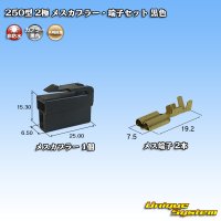 [Yazaki Corporation] 250-type CN (A) non-waterproof 2-pole female-coupler & terminal set (black)