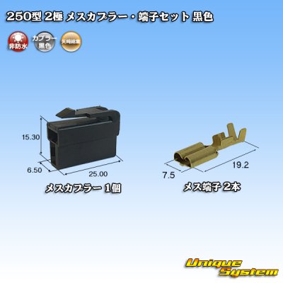 Photo1: [Yazaki Corporation] 250-type CN (A) non-waterproof 2-pole female-coupler & terminal set (black)