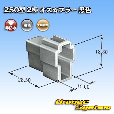 Photo3: [Yazaki Corporation] 250-type CN (A) non-waterproof 2-pole male-coupler (black)