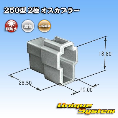 Photo3: [Yazaki Corporation] 250-type CN (A) non-waterproof 2-pole male-coupler