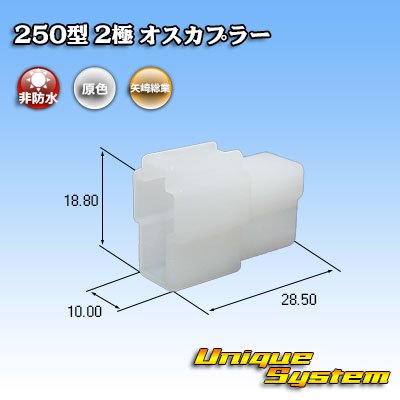 Photo1: [Yazaki Corporation] 250-type CN (A) non-waterproof 2-pole male-coupler