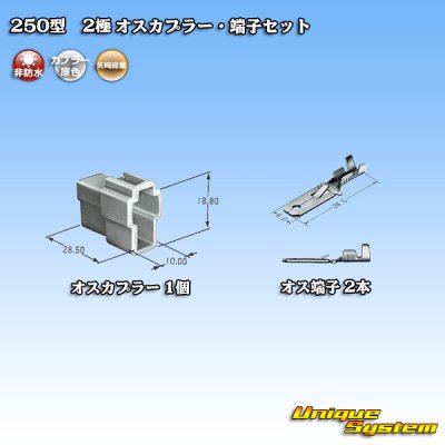 Photo4: [Yazaki Corporation] 250-type CN (A) non-waterproof 2-pole male-coupler & terminal set