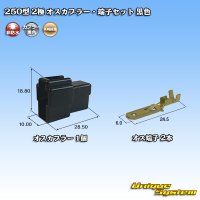 [Yazaki Corporation] 250-type CN (A) non-waterproof 2-pole male-coupler & terminal set (black)
